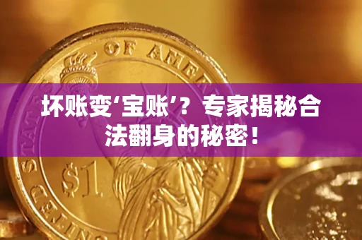 北京坏账变‘宝账’？专家揭秘合法翻身的秘密！