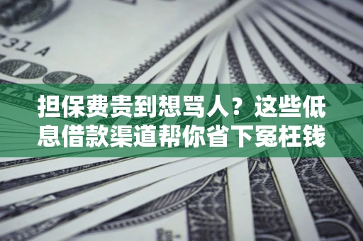 北京担保费贵到想骂人？这些低息借款渠道帮你省下冤枉钱