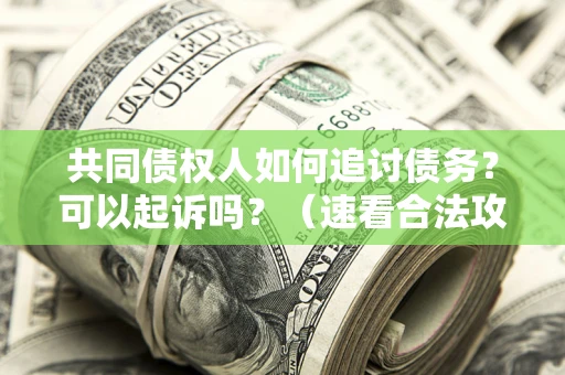 北京共同债权人如何追讨债务？可以起诉吗？（速看合法攻略）
