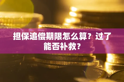 北京担保追偿期限怎么算？过了能否补救？